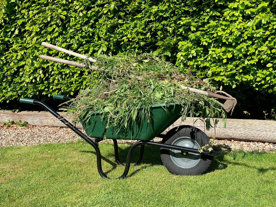 kruiwagen vol met onkruid kruiwagen vol met onkruid