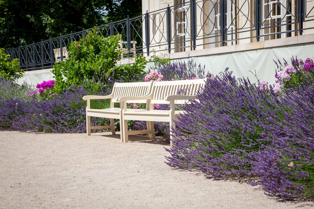 lavender-garden-1080px lavender-garden-1080px