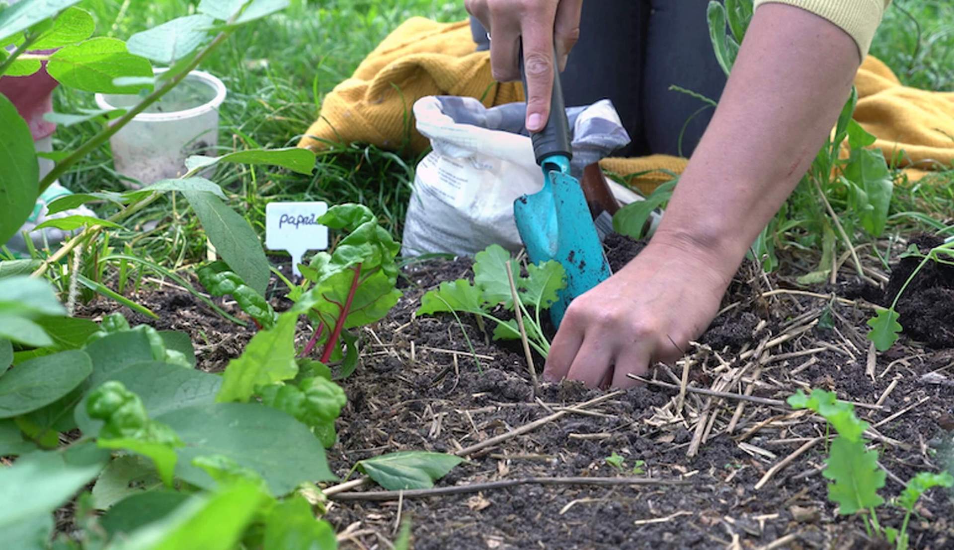 grond moestuin-klaar maken