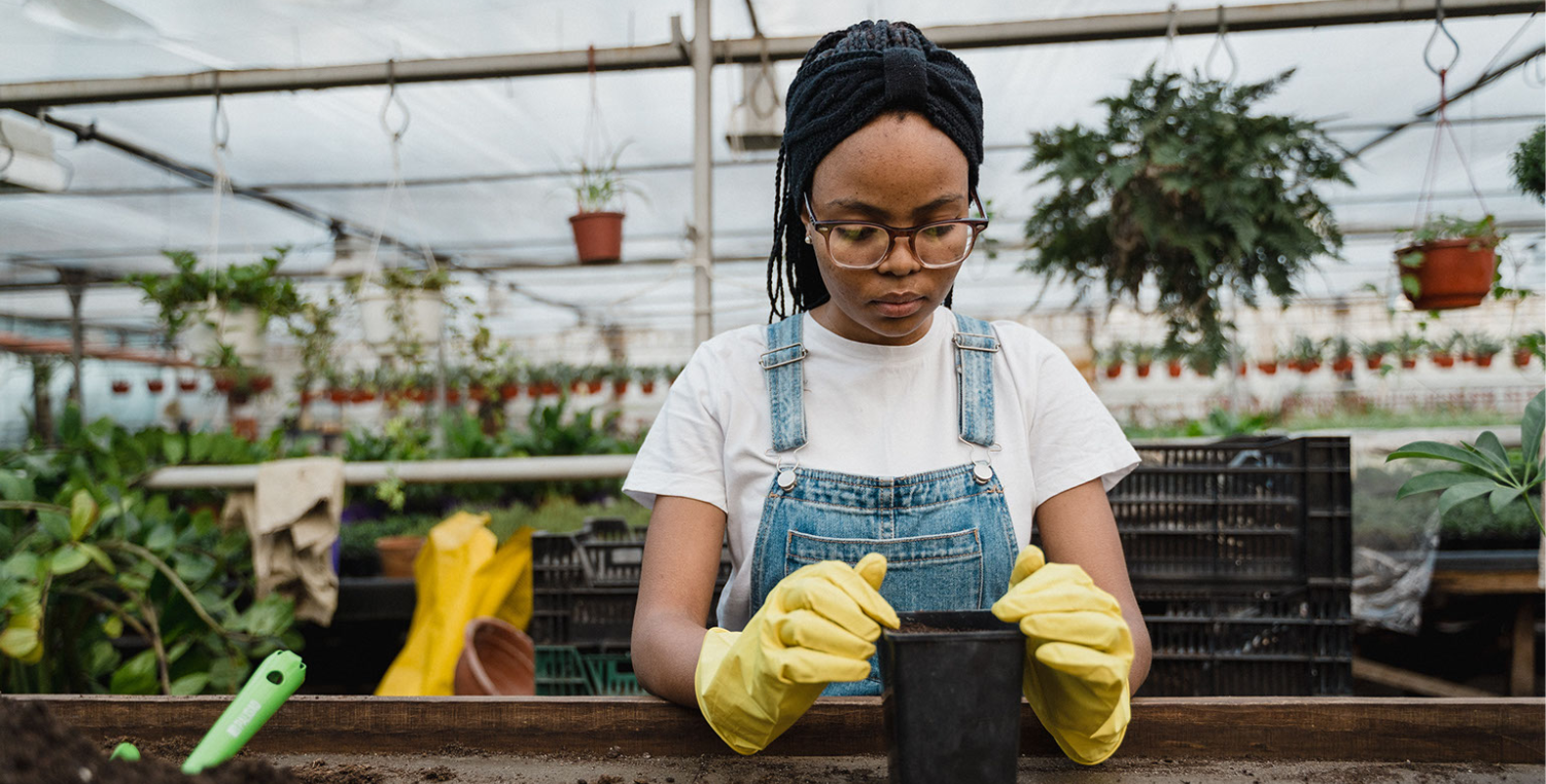 woman preparing potted plant
