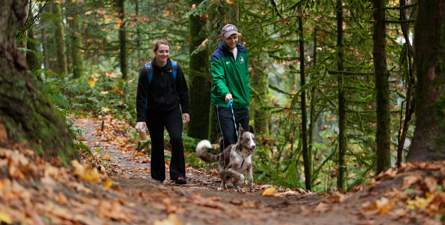 man and woman walking dog on forest trail