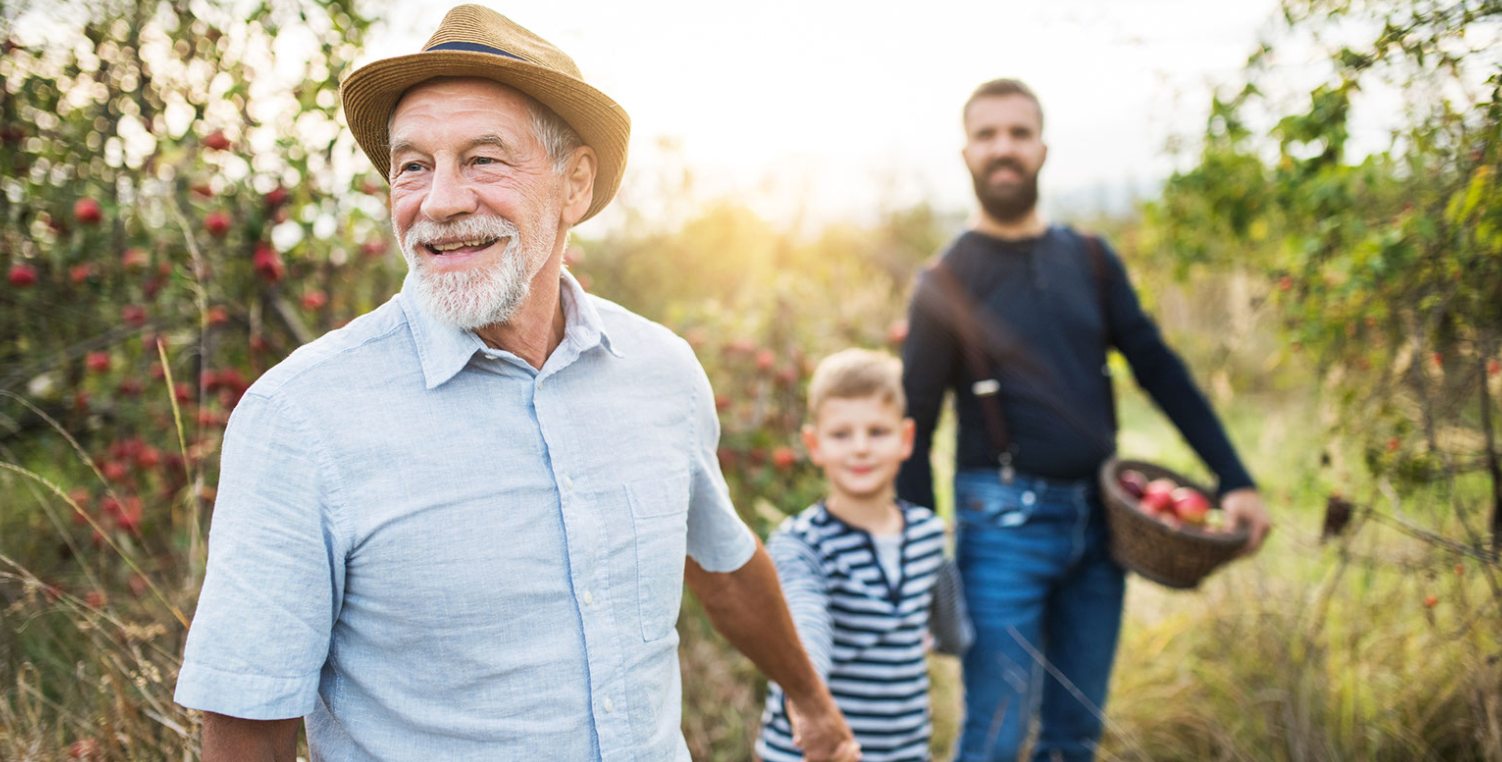 grandfather, grandchild, father walking through apple orchard