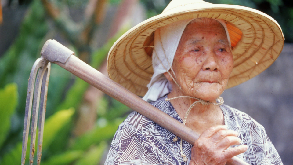 blue zones centenarian okinawa