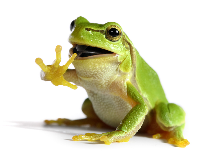 look-before-you-leap
