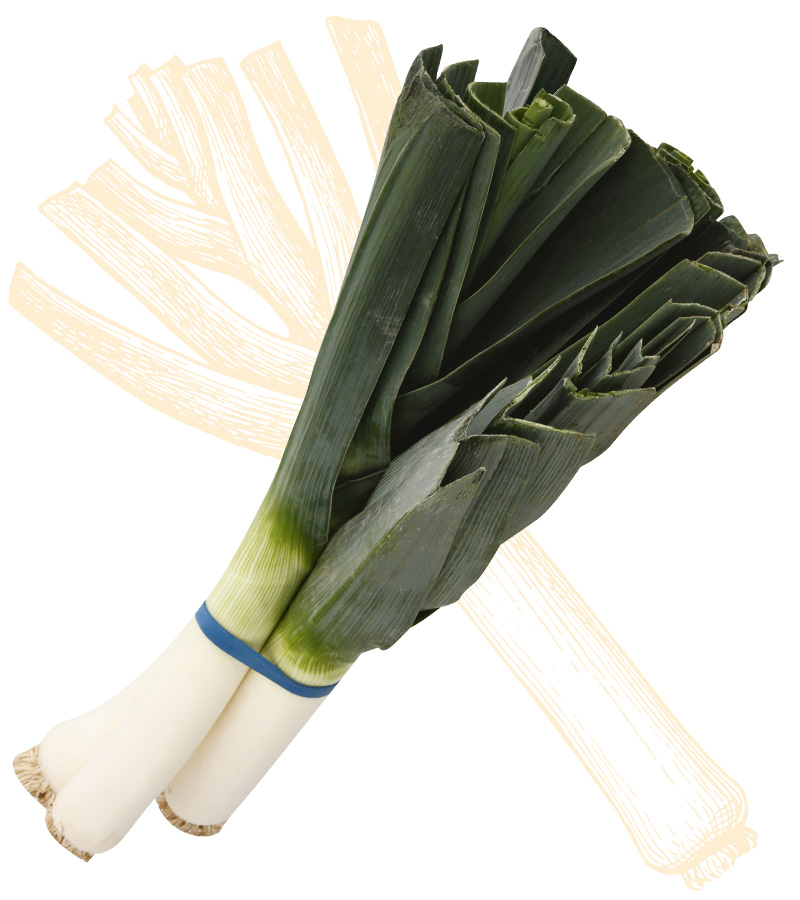 The Leek-Green Sea