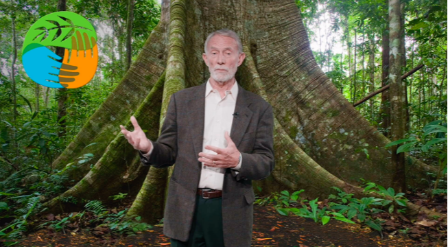 Watch the Recording of Our 2020 Global Community Gathering