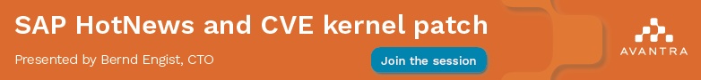 Watch this session on SAP HotNews and CVE kernel patch. 