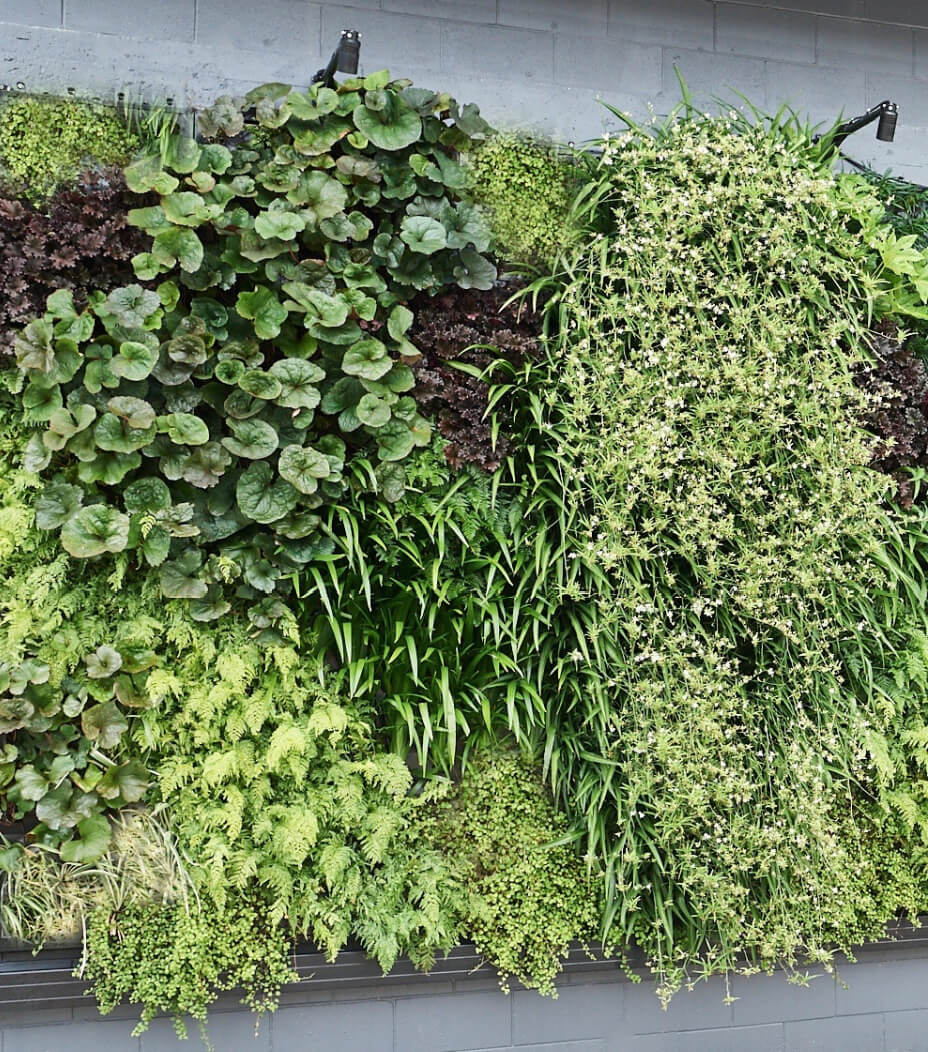 Products | Green Wall, Moss Wall & Plant Racks | Outside In