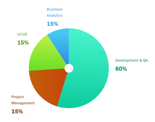 Custom Software Development - Budget Management