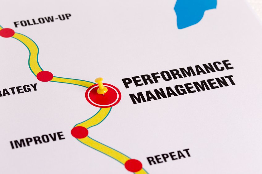 Define Performance Management