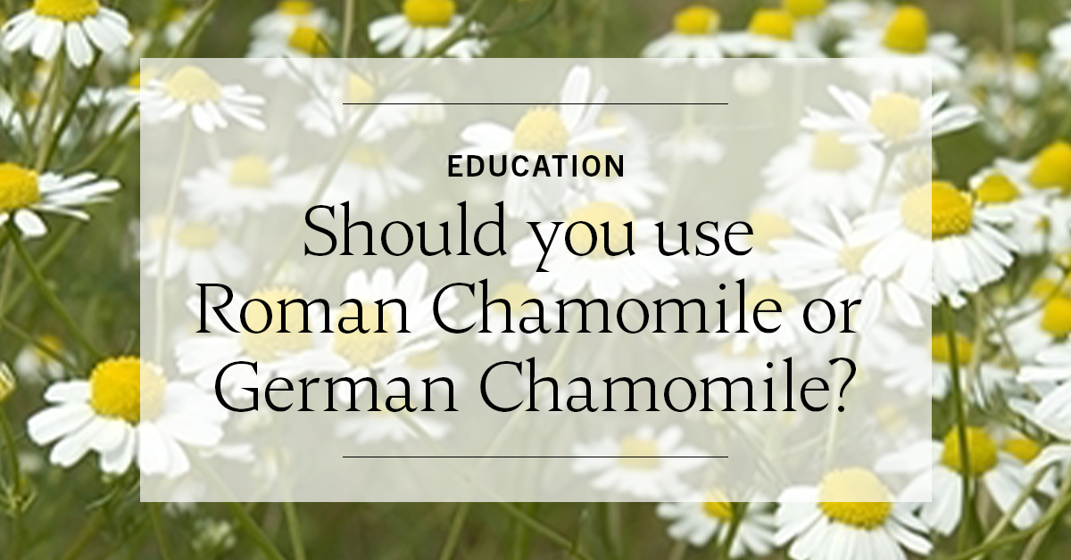 Should You Use Roman Chamomile or German Chamomile?