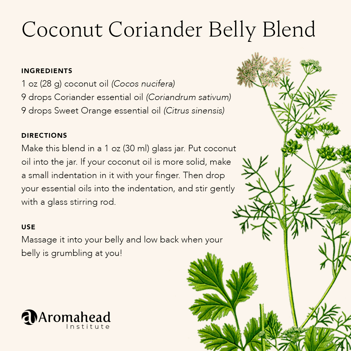 3 Ways to Use Coriander Essential Oil in Your Life Aromahead Blog
