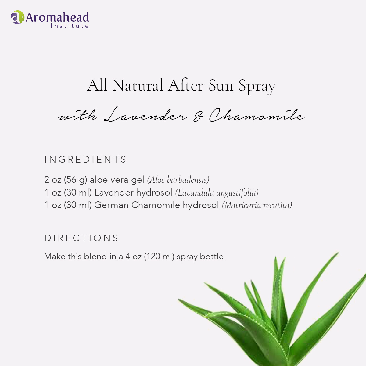 blog - May 4 - title -All Natural After Sun Spray with Lavender and Chamomile - 1200 x 1200 - V1  