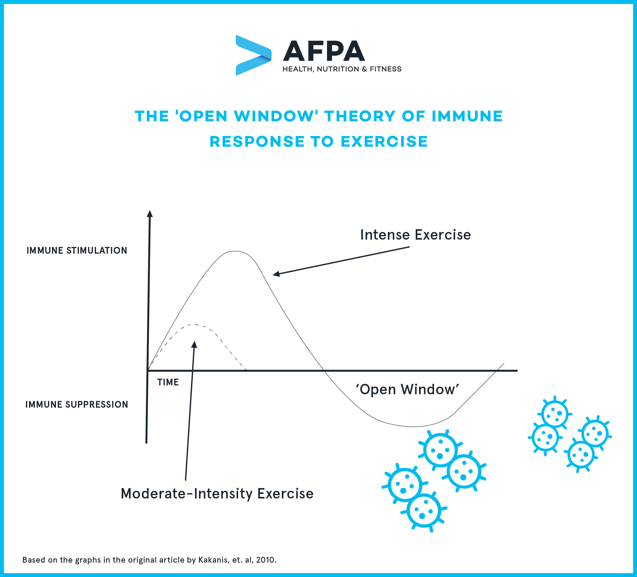 The Open WIndow_V2