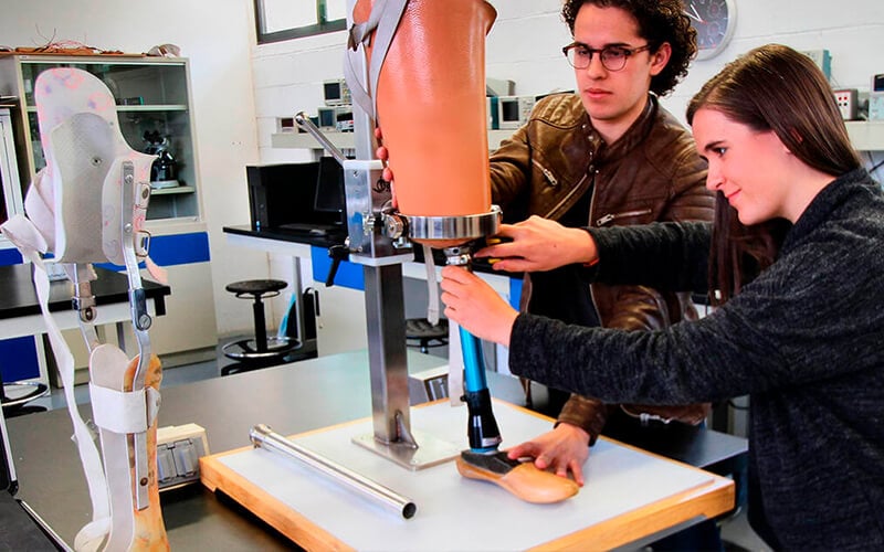 Ingeniería Biomédica