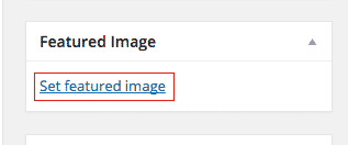 WordPress Posts - Featured Image