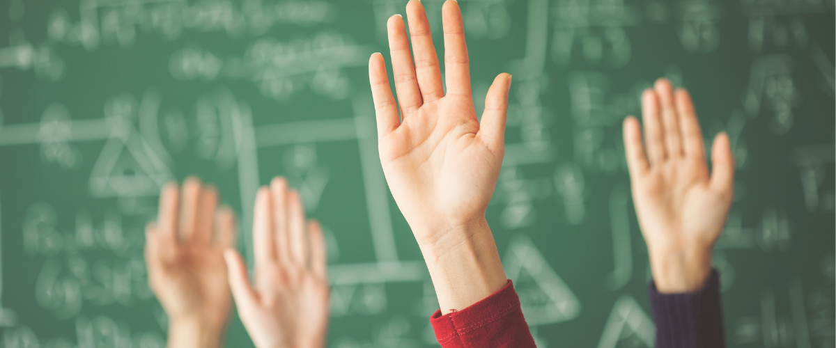 Students raised hands in classroom 