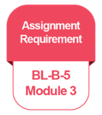 IB [BL-B] [4-5] [M3] Assignment Requirement