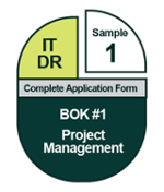 IT DR_#PM Sample 1