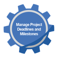 Step 10 Manage Project Deadlines and Milestones