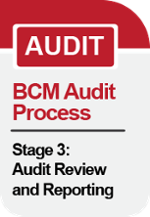 [BL-A-WSQ] Stage 3: Audit Review and Reporting