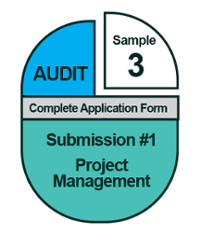 Complete Application Form: Sample Audit Submission #3