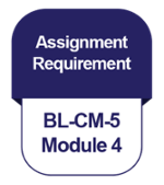IB [BL-CM] [4-5] Assignment Requirement