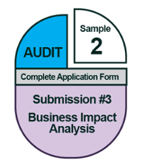 Complete Application Form: Sample Audit Submission #2