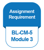 IB [BL-CM] [4-5] [M3] Assignment Requirement