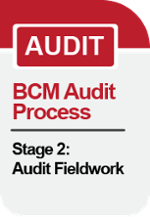 Stage 2: Audit Fieldwork