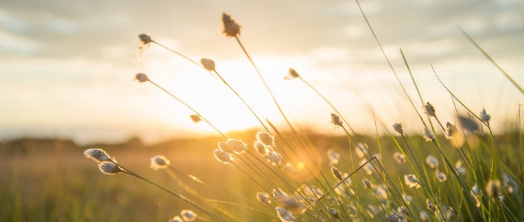 Reach your sustainability goals