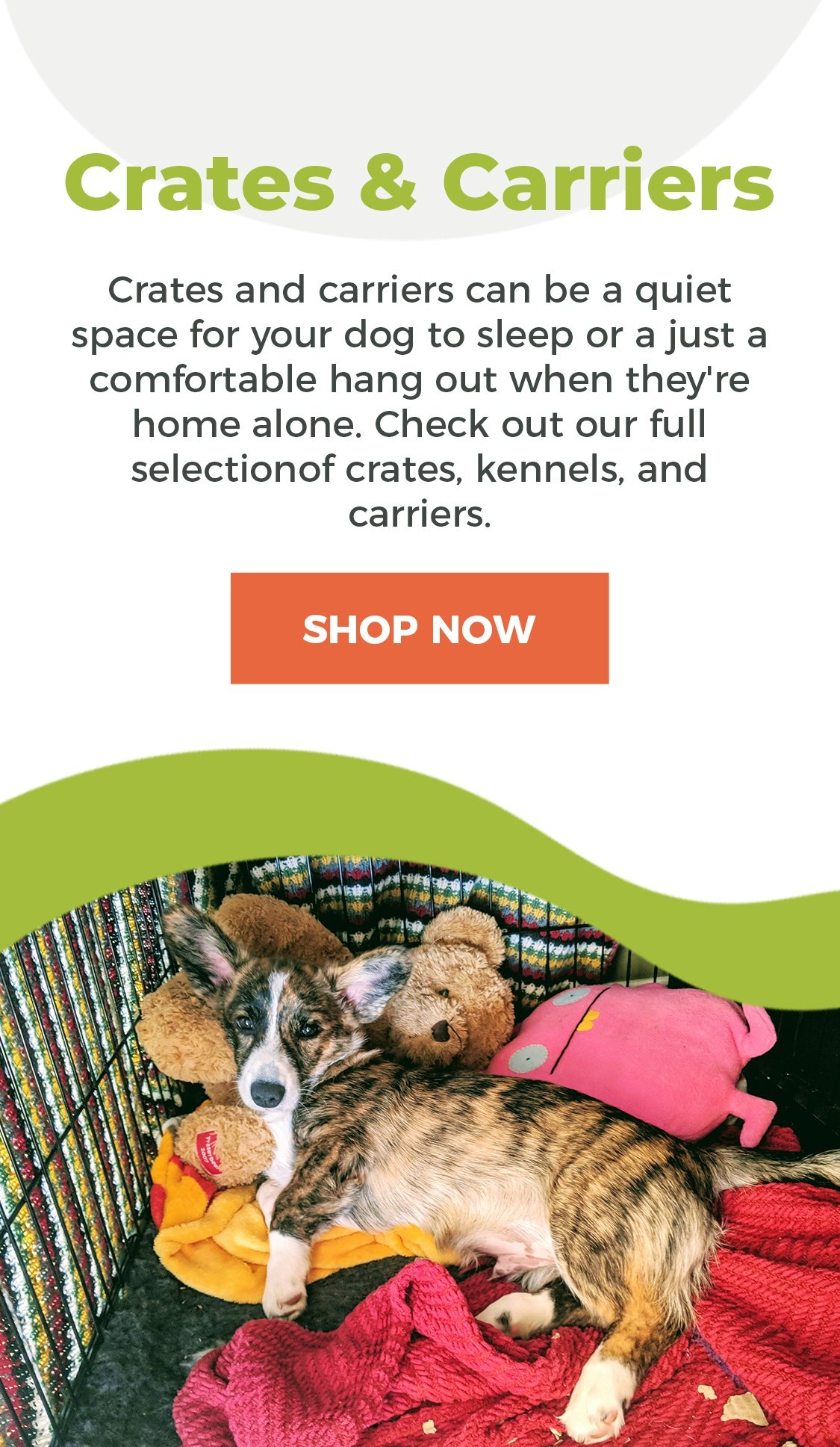 Crates are Forever - Not Just for Puppies – American Kennel Club