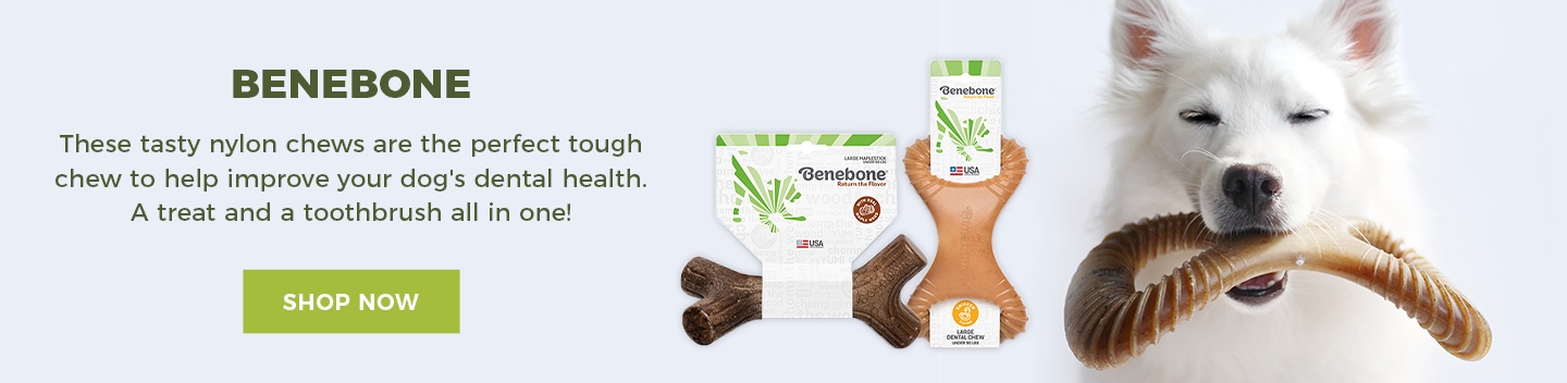Benebone Dog Chew Toys