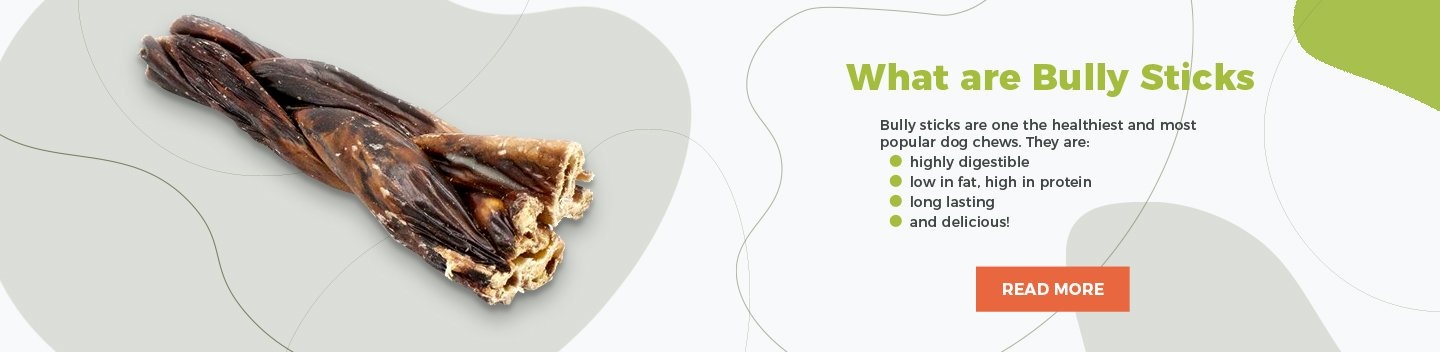 longest lasting bully sticks