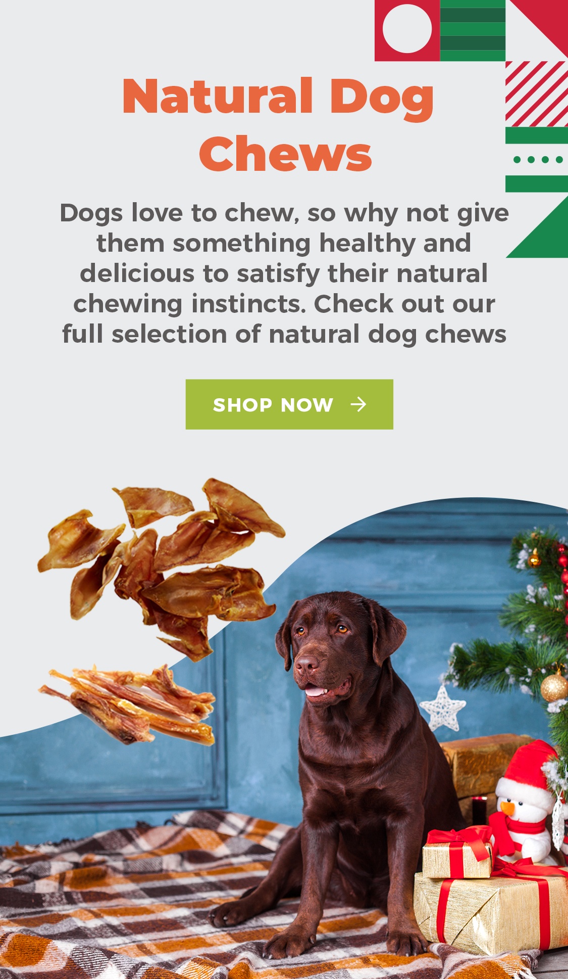 Dog Christmas presents: A list of 12 gift ideas for your dog! - Tromplo