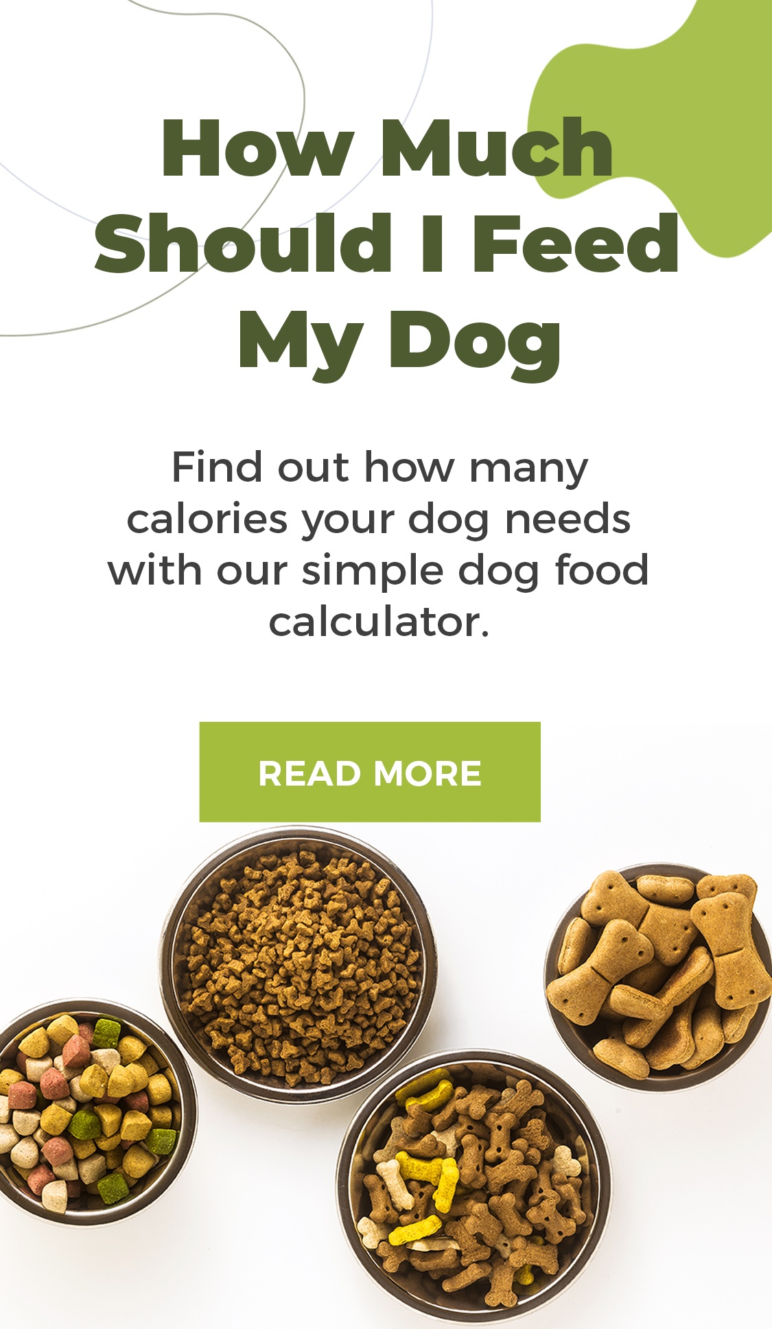 Weight Loss Dog Food Managing Your Dog s Weight