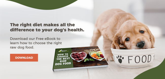 Homemade Raw Dog Food A Complete And Balanced Raw Diet For Your Dog