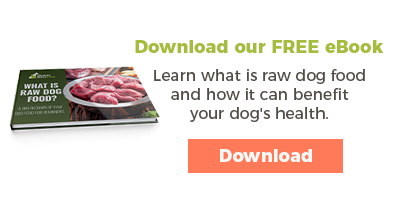 how can i add calories to my dogs food