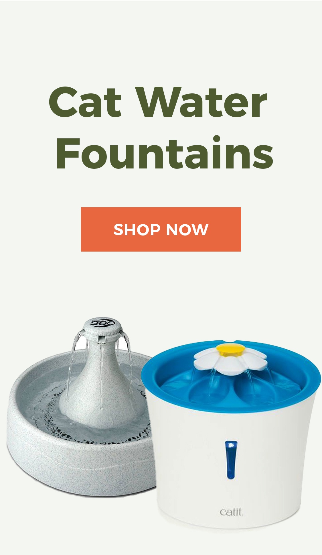 Are Cat Water Fountains Safe: Essential Facts Every Owner Must Know