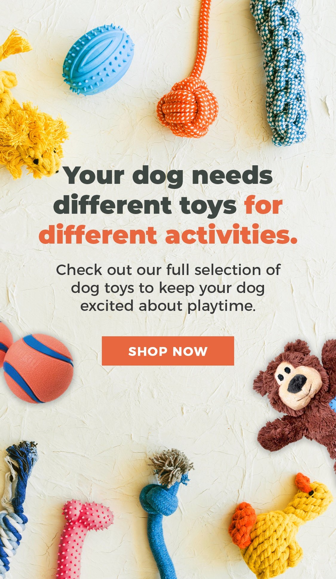 25 Frugally Fun DIY Dog Toys To Pamper Your Pooch - DIY & Crafts