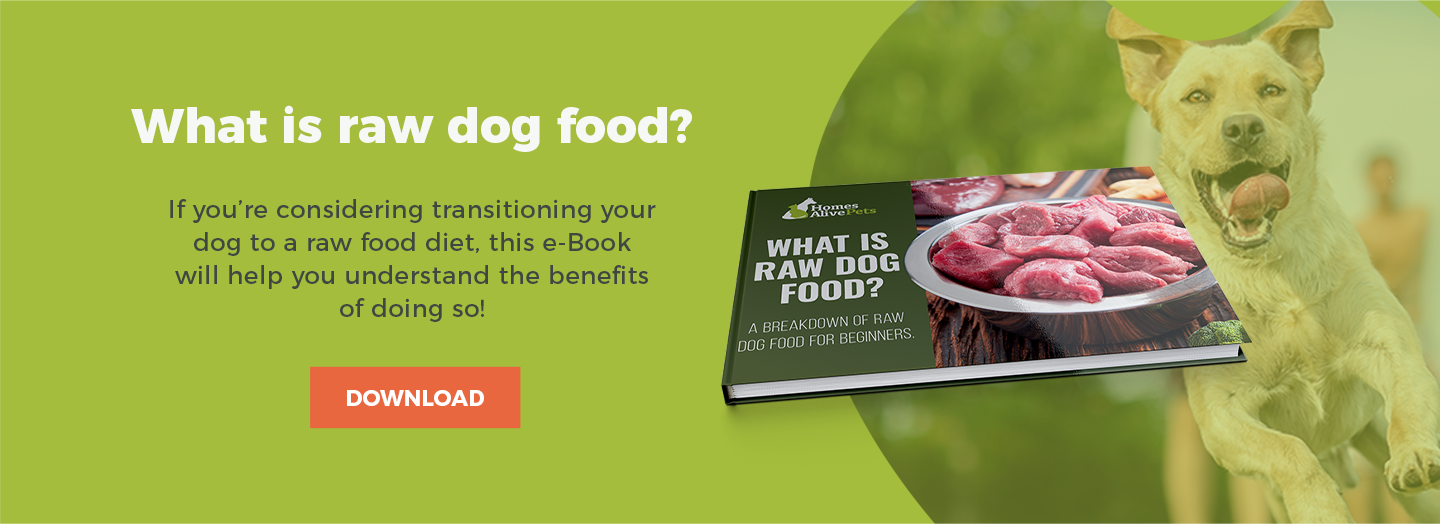 benefits of barf diet for dogs