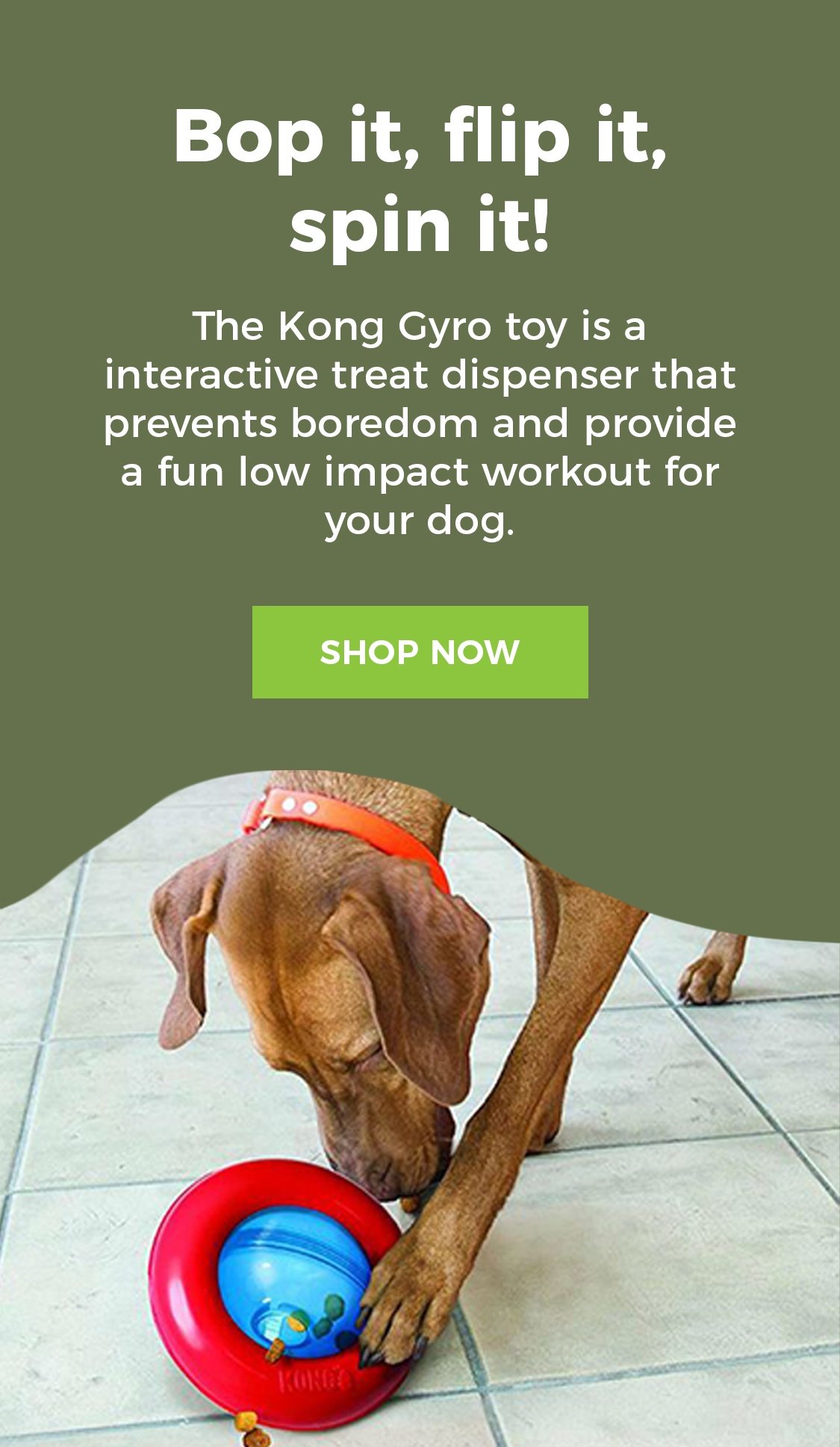 Best Interactive Dog Toys to Beat Boredom - Dog Trotting