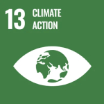SDG13 SDG13
