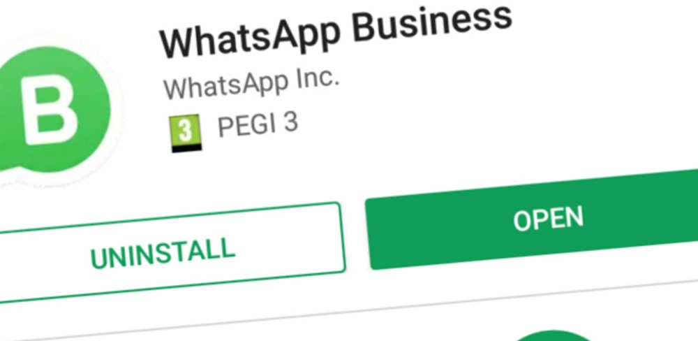 I vantaggi di Whatsapp-Business