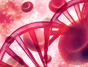 Advances in Immune Repertoire Sequencing for the Study of Lymphoid Neoplasms
