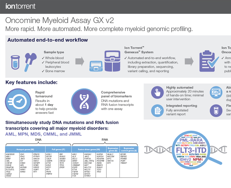 Rapid Next-generation Sequencing For The Study Of Acute Myeloid 