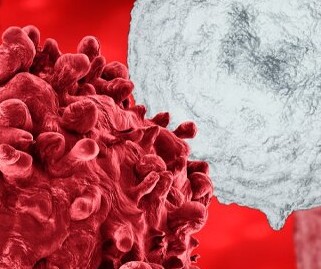 Immuno-oncology Webinar Series