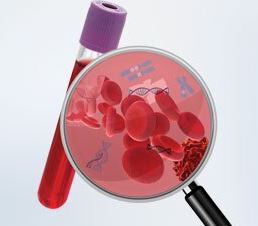New Frontiers in Liquid Biopsy