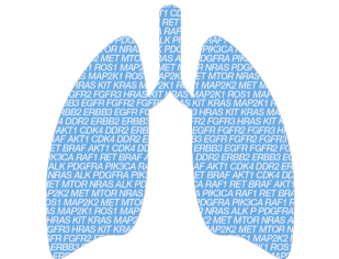 NSCLC Biomarker Testing in Precision Oncology Research