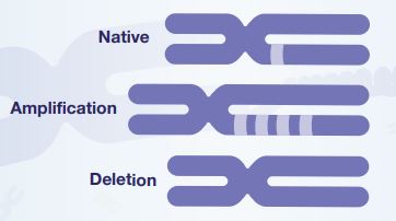 Targeted Therapies Help Improve Oncology Patient Outcomes